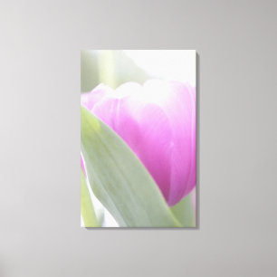 Tulips, Keukenhoff Gardens, Netherlands. 2 Canvas Print