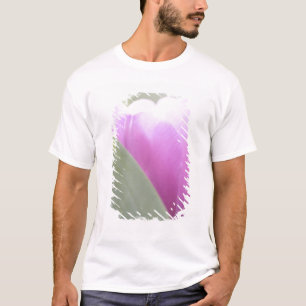 Tulips, Keukenhoff Gardens, Netherlands. 2 T-Shirt