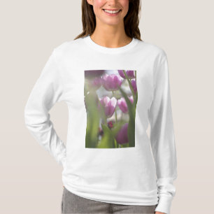 Tulips, Keukenhoff Gardens, Netherlands. T-Shirt