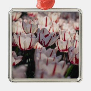 Tulips Metal Tree Decoration