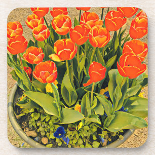 Tulips modern floral flower festival coaster