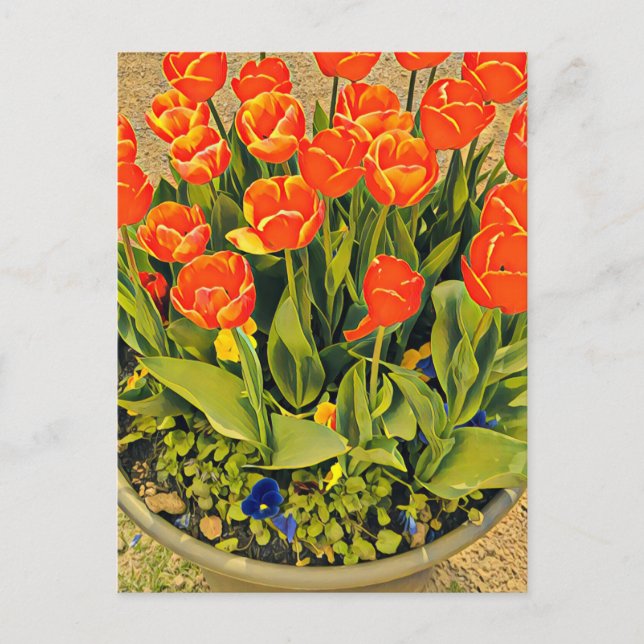 Tulips modern floral flower festival postcard (Front)