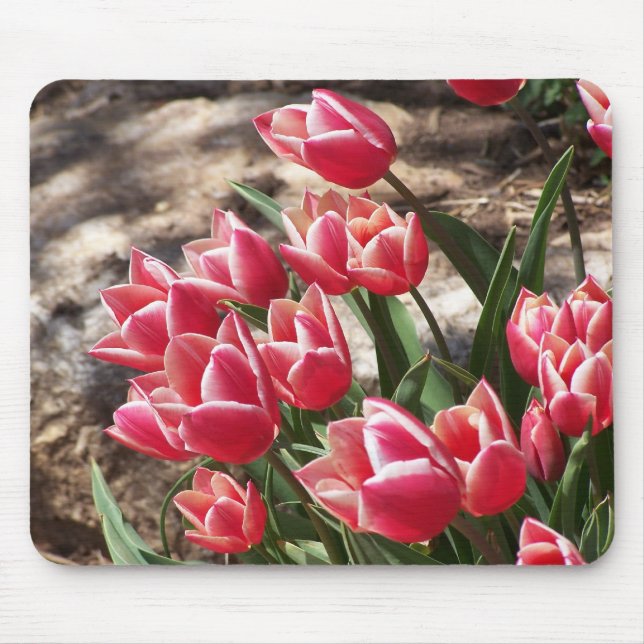 Tulips Mouse Mat (Front)