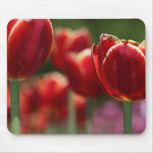 Tulips Mouse Mat