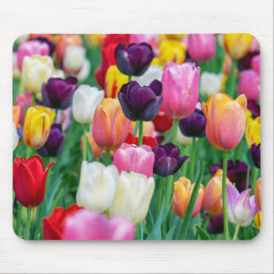 Tulips Mouse Mat