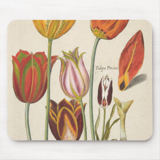 Tulips Mouse Mat (Front)