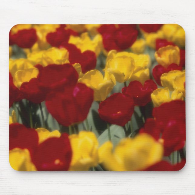 Tulips Mouse Mat (Front)