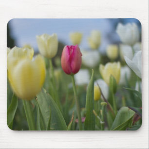 Tulips Mouse Mat