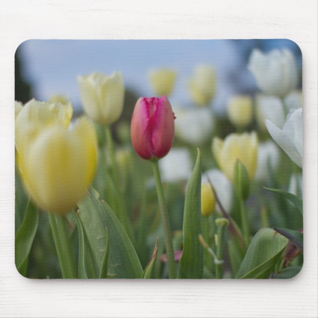 Tulips Mouse Mat (Front)
