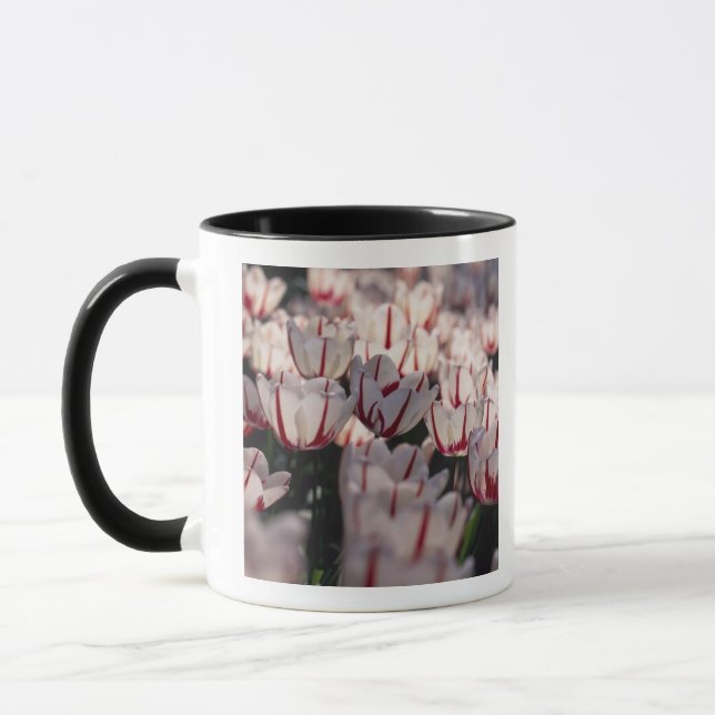 Tulips Mug (Left)