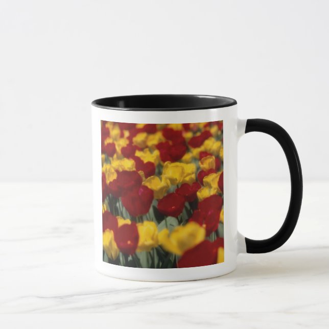 Tulips Mug (Right)