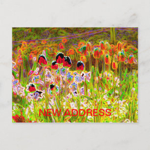 Tulips New Address Postcard