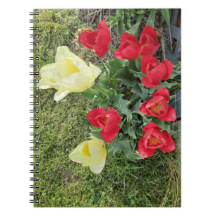 Tulips Notebook