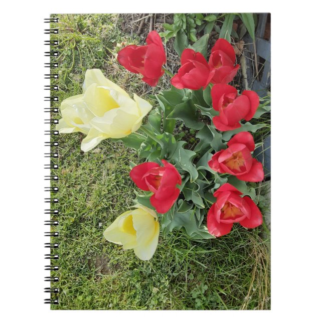 Tulips Notebook (Front)