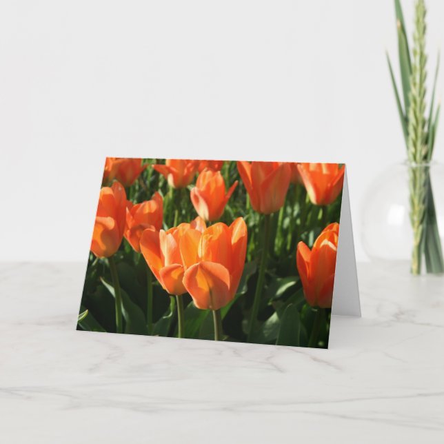 Tulips NoteCard (Front)