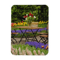 Tulips of table in garden, Keukenhof Gardens,