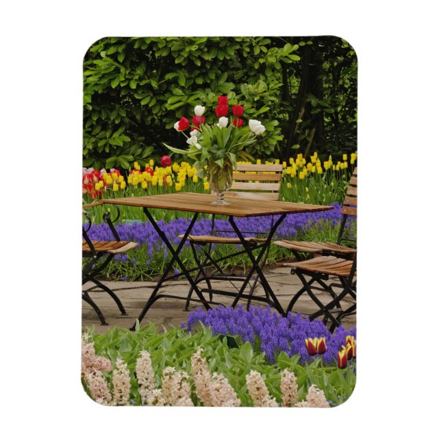 Tulips of table in garden, Keukenhof Gardens, Magnet (Vertical)