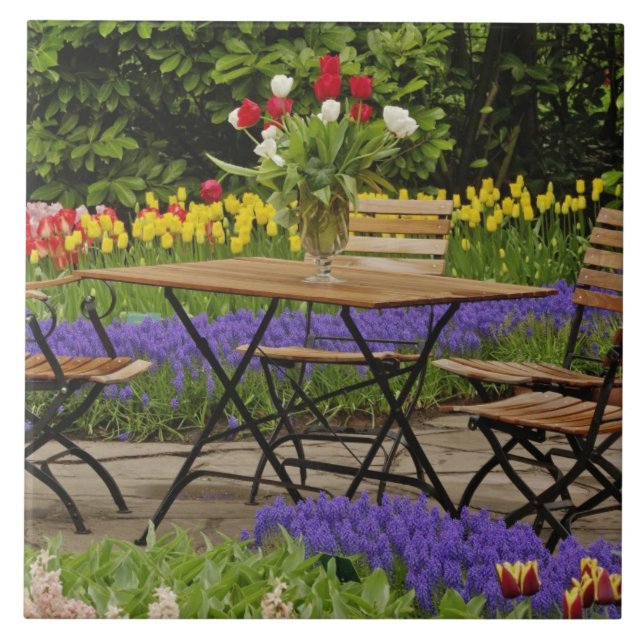 Tulips of table in garden, Keukenhof Gardens, Tile (Front)