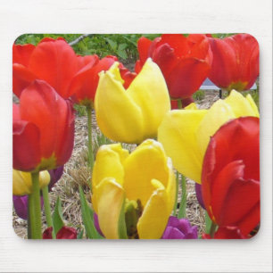 Tulips of the Botanical Garden Mouse Mat