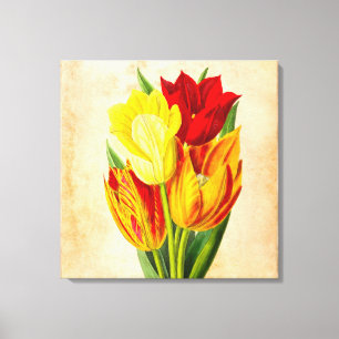 Tulips oil painting canvas print