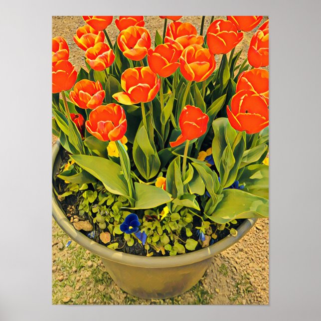 Tulips orange flower festival photography poster (Front)