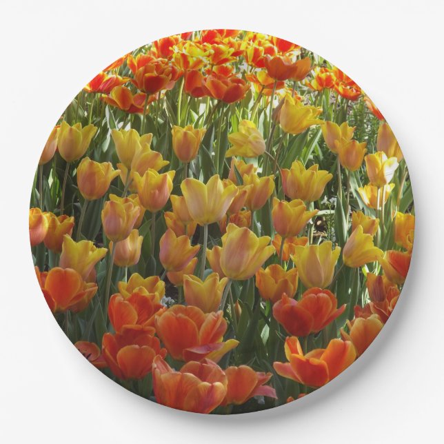 Tulips Paper Plates (Front)
