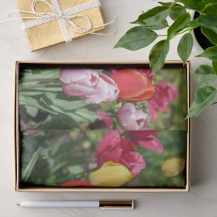 Tulips Photo Tissue Paper