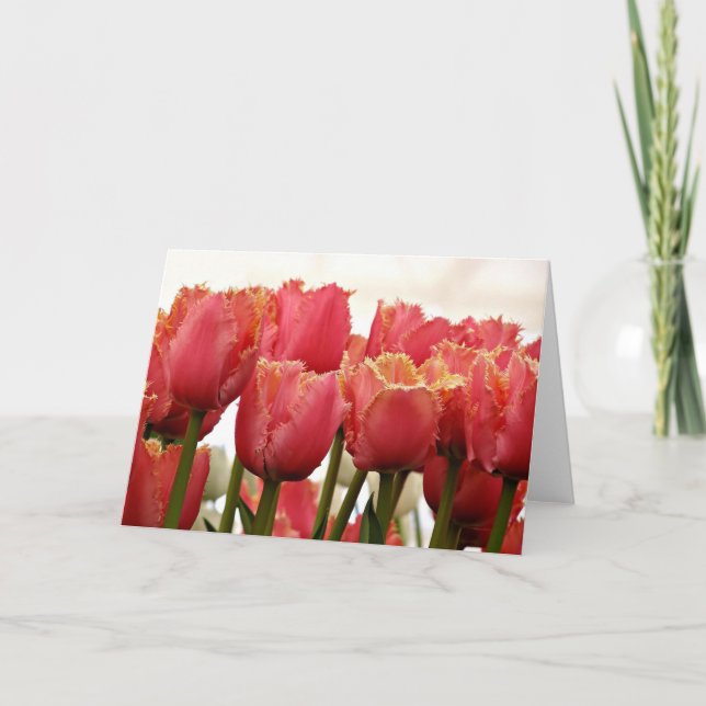 Tulips Photograph | Coral and Gold Fringed Card (Front)