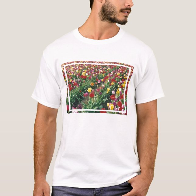 Tulips Pink Melange Ringer T-Shirt (Front)