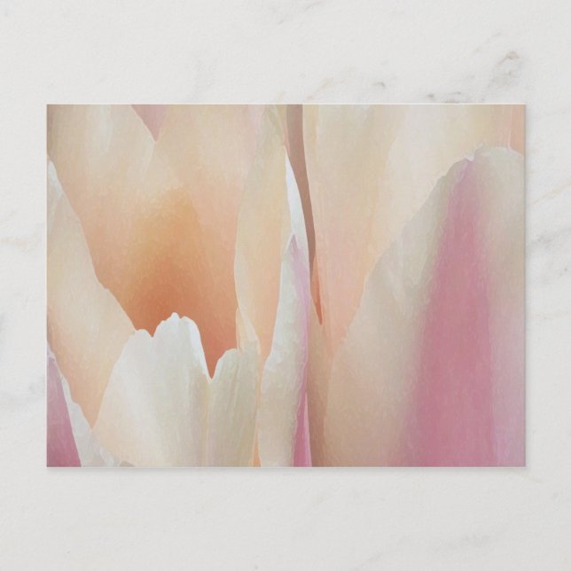 Tulips Postcard (Front)