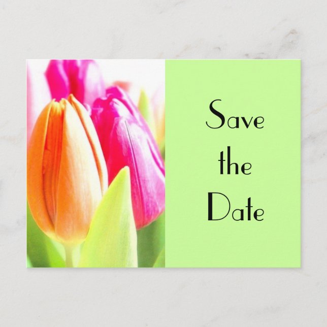 Tulips Save the date Announcement Postcard (Front)