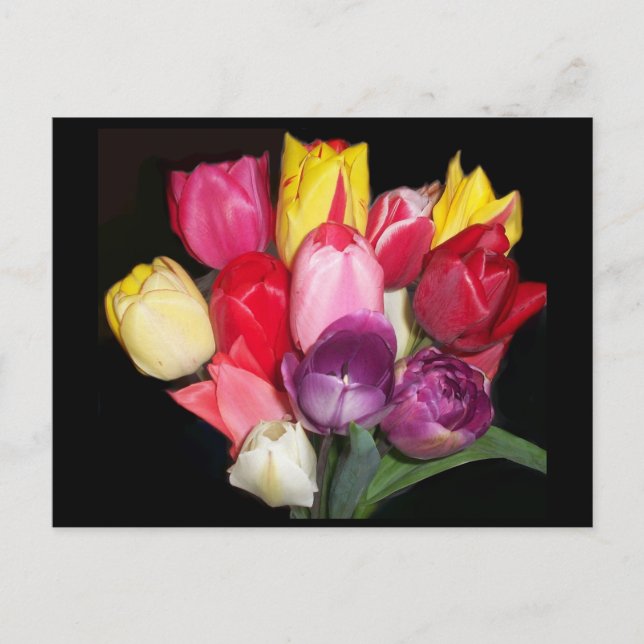 Tulips Says it All Postcard (Front)
