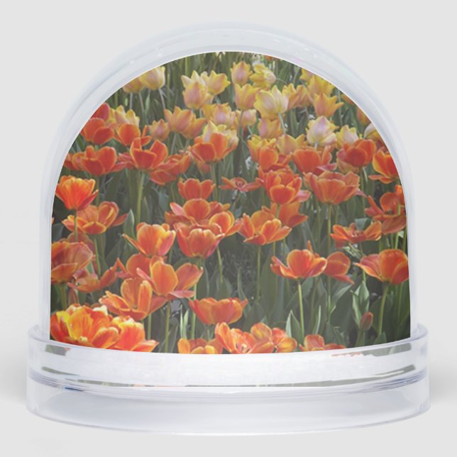 Tulips Snow Globe (Front)