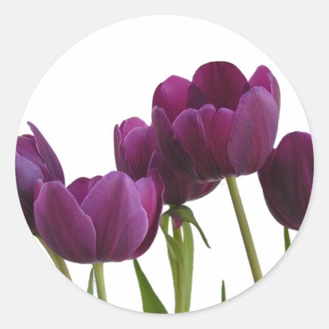 Tulips Sticker (Front)