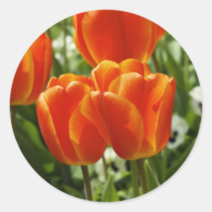 Tulips Sticker