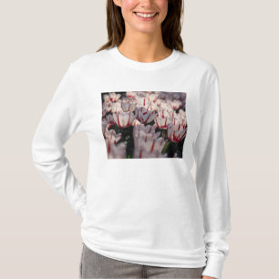 Tulips T-Shirt