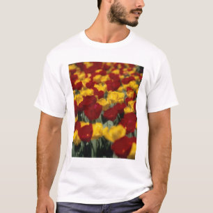 Tulips T-Shirt