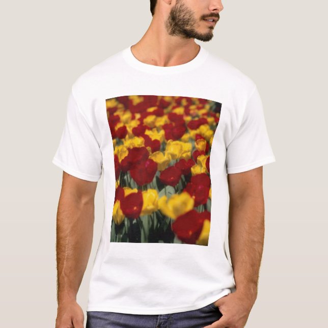 Tulips T-Shirt (Front)