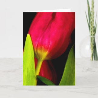 Tulips Thank You Card