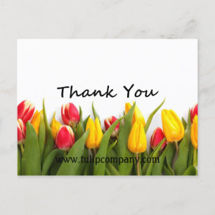 Tulips Thank-You Customisable Post Card