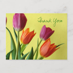 Tulips Thank You Postcard