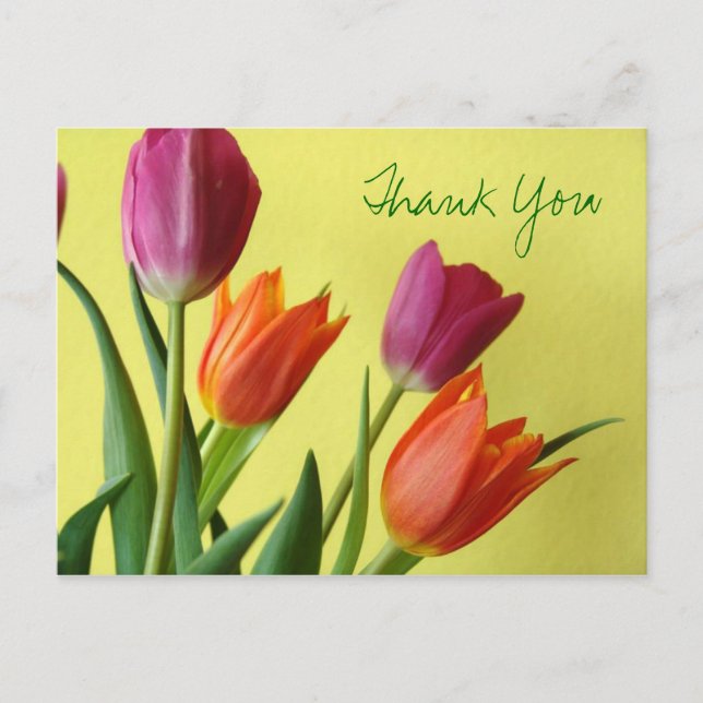 Tulips Thank You Postcard (Front)