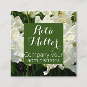 Tulips the white square business card