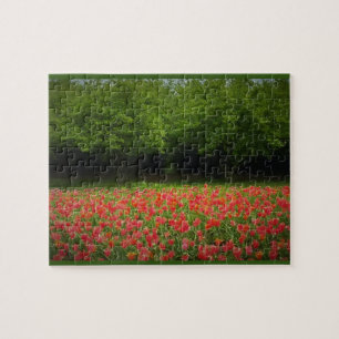 Tulips & Trees Jigsaw Puzzle