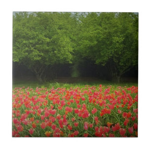 Tulips & Trees Tile