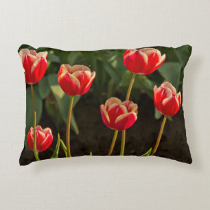 Tulips, Tulip Festival, Woodburn, Oregon, USA 1 Decorative Cushion