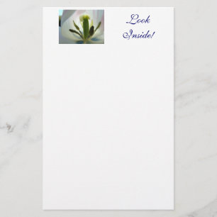 Tulips White Blue Tulip Stationery LOOK INSIDE!