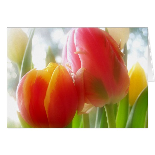 tulipsTWOgether Card (Front Horizontal)