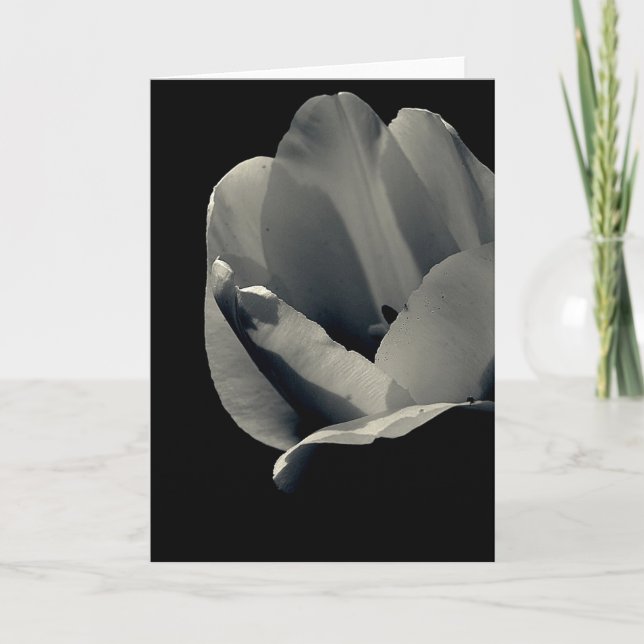 Tulp in Black and White Card (Front)