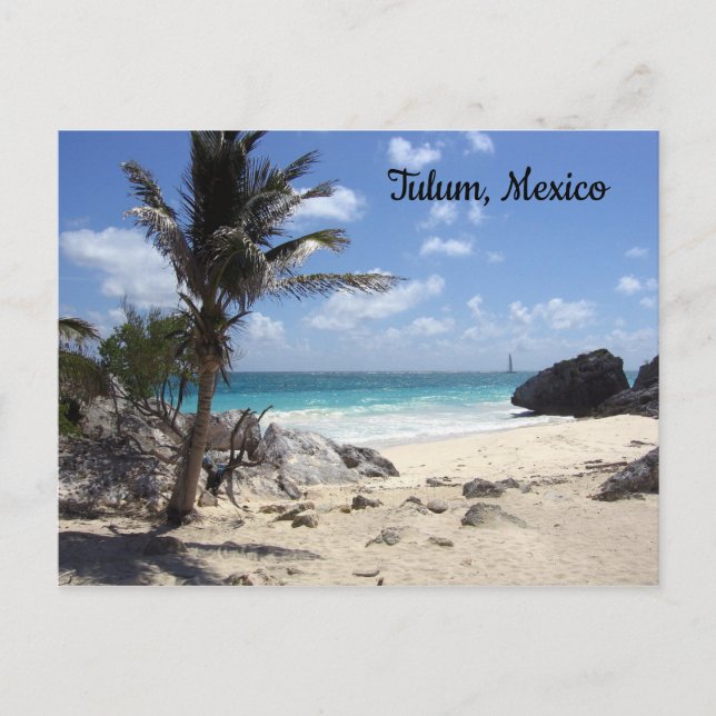 Tulum, Mexico - Beach - Palm Trees Postcard (Front)